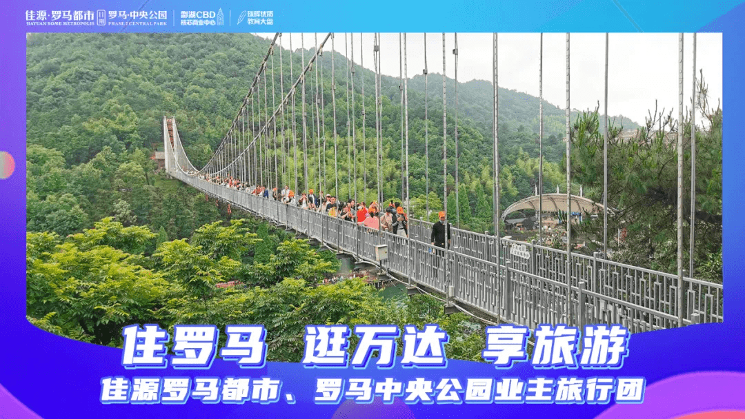 李行亮被活动除名，文旅厅回应投诉较多_精选解释落实