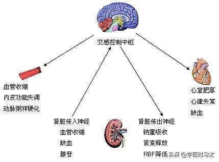 缺氧为何导致神经细胞兴奋性降低_最佳精选解释落实