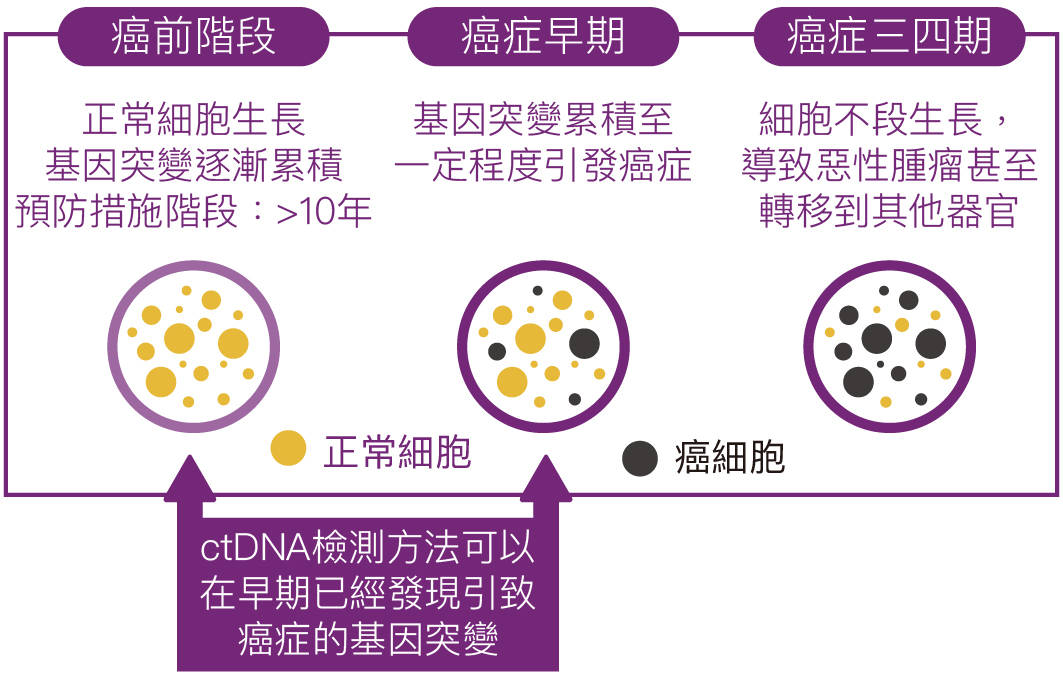 2024年12月 第1621页