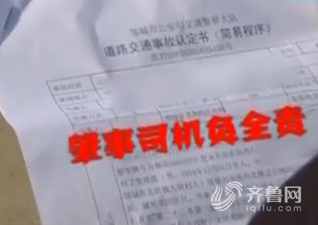 高速撞羊群被判全责，事件反思与道路安全探讨_精密解答