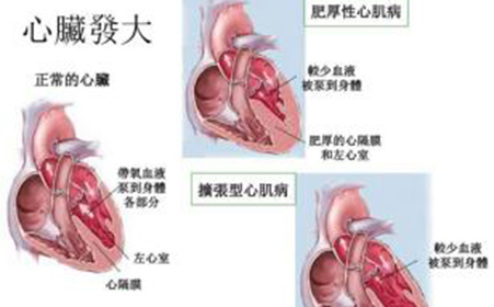 新闻动态 第825页