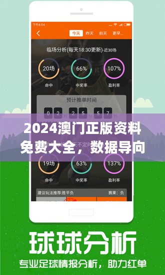 2024新澳最精准免费资料,反馈实施和执行力_Superior99.684