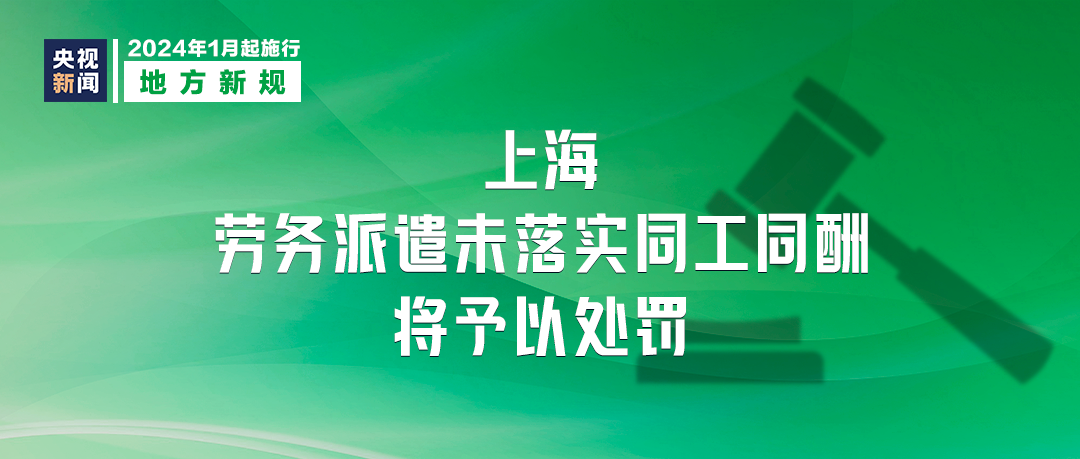 2024新澳今晚资料免费,落实执行_N版77.313