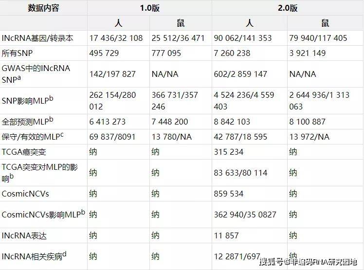 黄大仙免费资料大全最新,资料解释_CT49.375