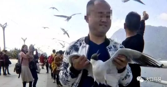 男子暴力抓海鸥拍照，行为背后的反思与启示_动态词语解释落实