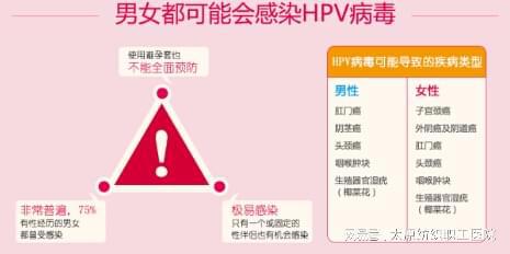 关于男性HPV感染率高达31%的研究报告_最佳精选解释落实