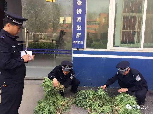 辱骂骑手急着去出殡是否犯法？_词语解释