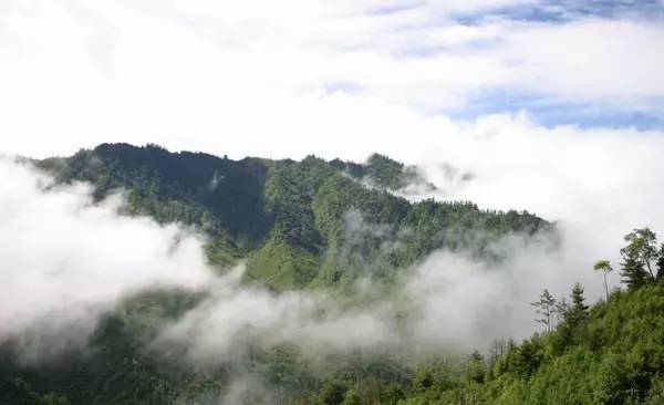 秦岭南北分界线界碑，历史的见证与自然地理的标识_解释落实