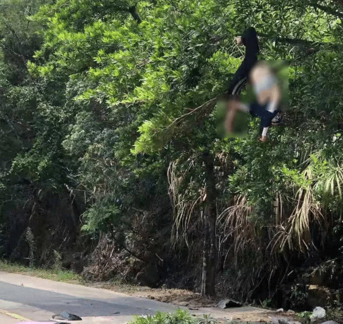 女子骑车撞上树枝身亡，镇政府拒赔引发争议_动态词语解释