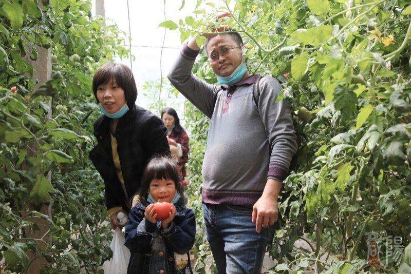 自助餐厅的吃自助带走现象，一种深度解读_精准落实