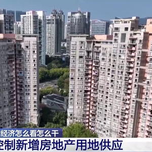 明年如何稳住楼市？专家深度解读_动态词语解释