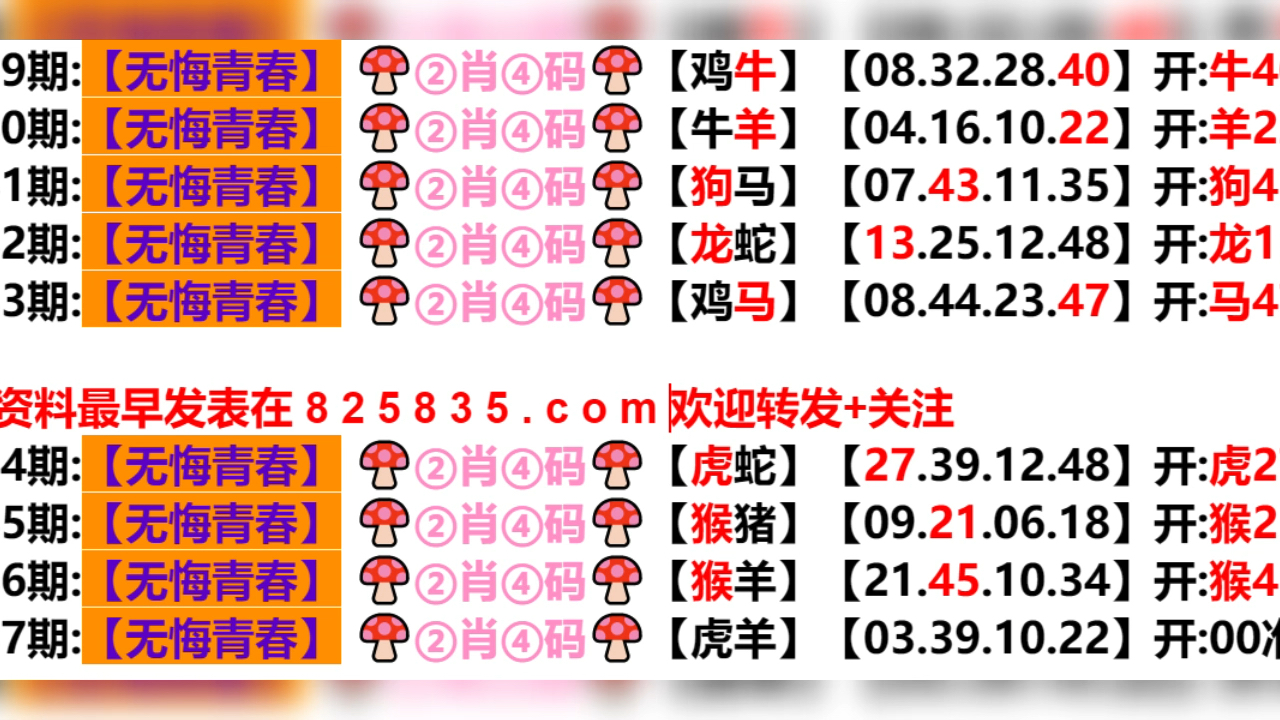 2024新奥历史开奖结果澳门六开彩,反馈总结和评估_pack89.681