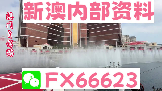 新澳内部资料免费精准37b——在自然中放松身心，享受生活