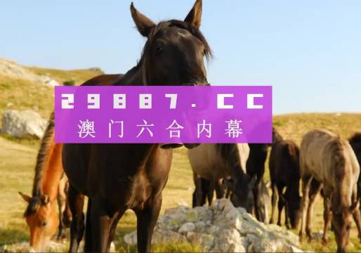 2024澳门管家婆一肖一码——体验北方城市的冰雪魅力