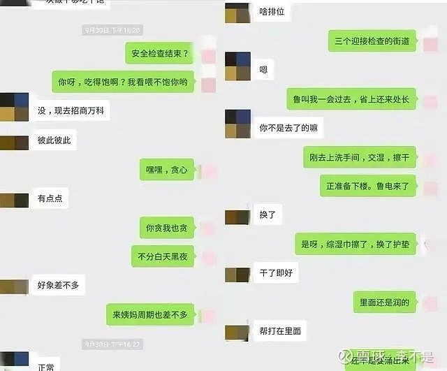 镇党委书记被曝在工作群发不雅内容违法吗