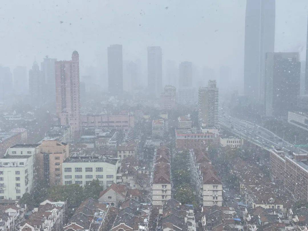 上海或迎初雪，一场冬日的诗意浪漫