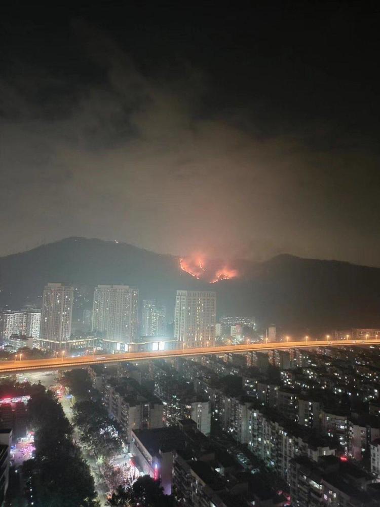 香港突发山火，深圳遥望可见——灾难背后的观察与思考