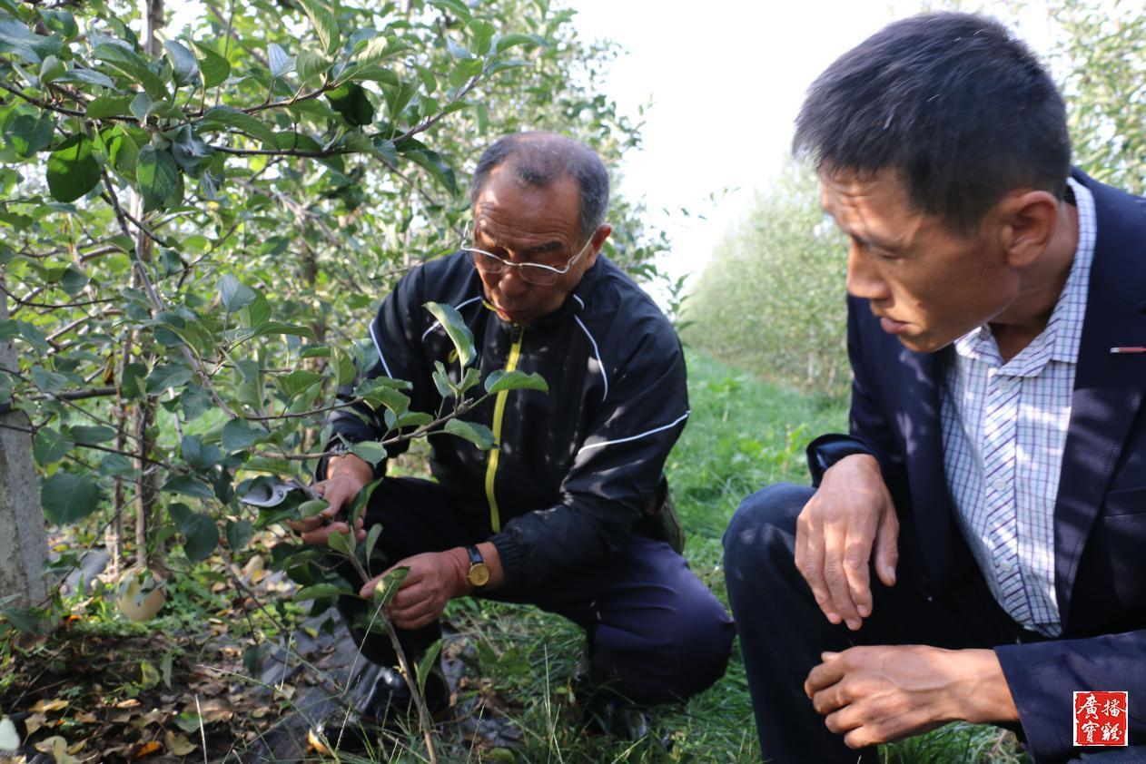 这六个器官最不抗冻，冬季养生需重点关注！