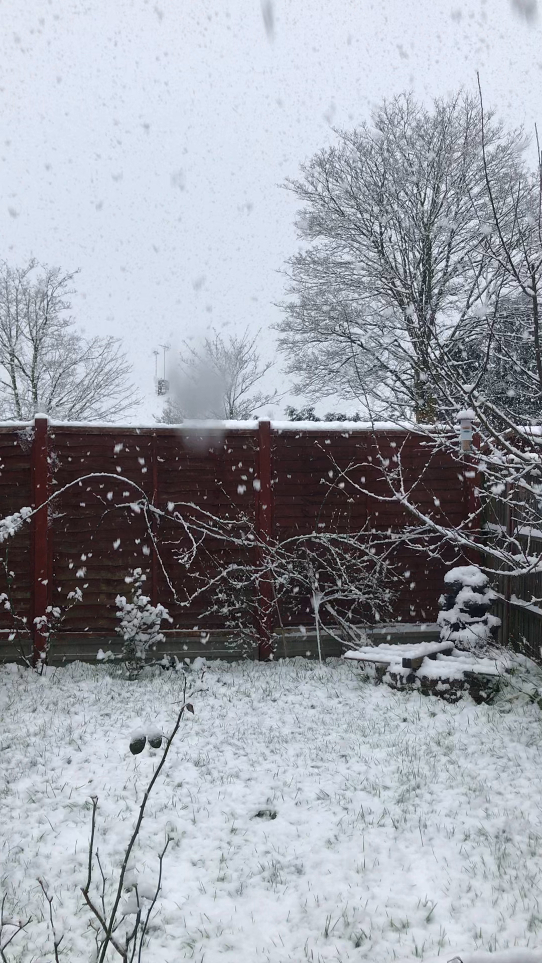 现实版的鹅毛大雪，惊艳与考验并存