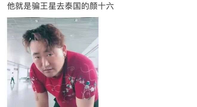 关于王星案颜十六已到案的深入解析