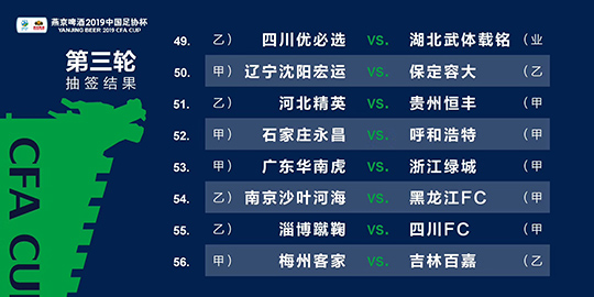 精准一肖100%免费——反馈实施和执行力