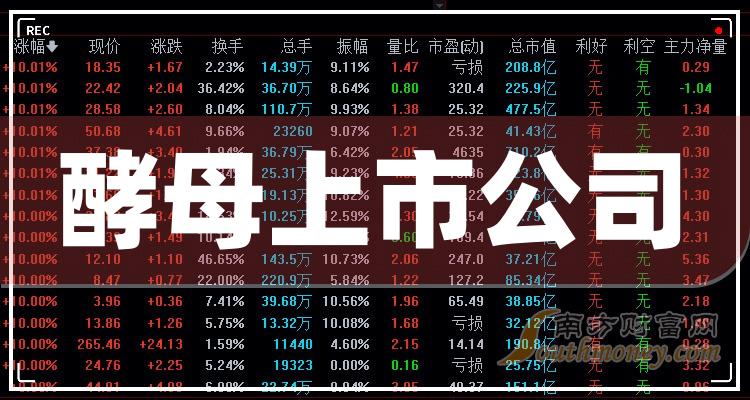 澳门王中王100%正确答案最新章节——反馈机制和流程