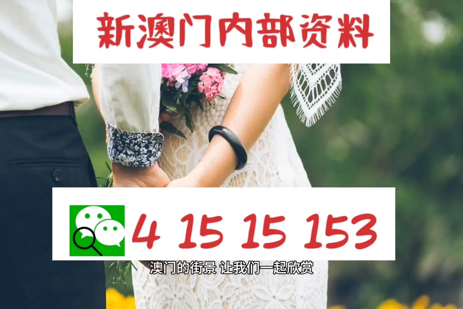 今晚澳门484949究竟开出什么？绝密动态解读让你大跌眼镜！