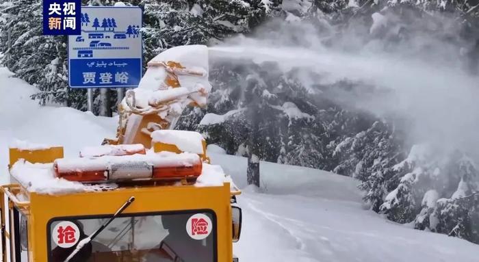 景区雪崩吞噬游客悲剧的背后真相揭秘