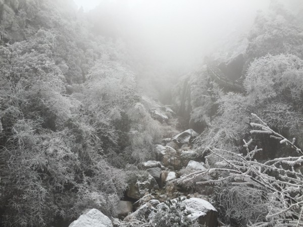 黄山雪灾惊魂！游客险遭头朝下滑坠，生死一线间