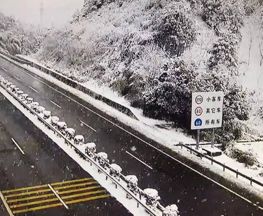 浙江领导赏雪竟封路？真相揭秘与官方回应深度剖析