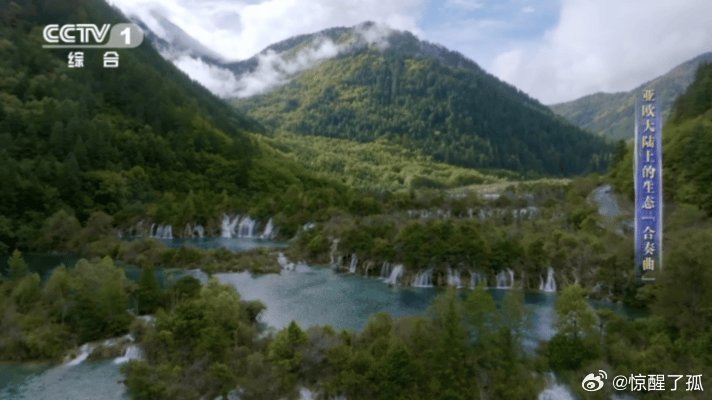 九寨沟震后重建奇迹，糯米汁引领生态修复新篇章！