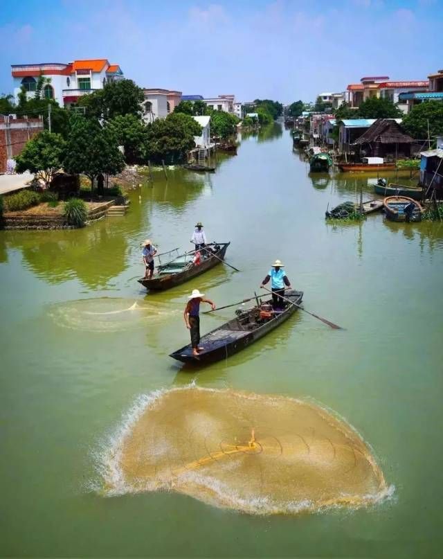 推荐，郭富城东莞寻根之旅揭秘，中堂三涌村发现惊人祖籍之谜！