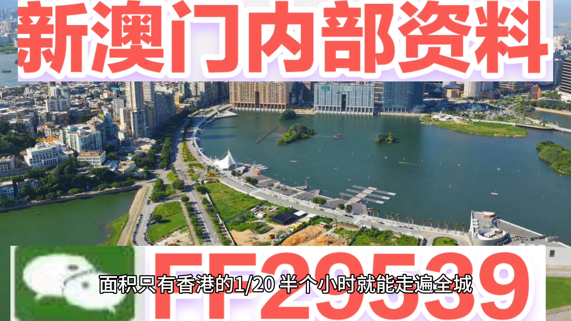 2025澳门特马今晚开奖113期，权威解读Holo55.95七、揭开神秘面纱的惊人真相！