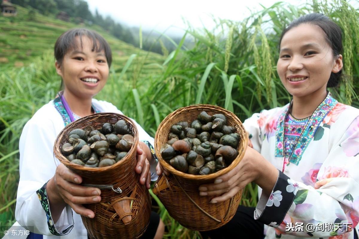 种地26年，因颗蒜蒜走红，背后的故事引人深思