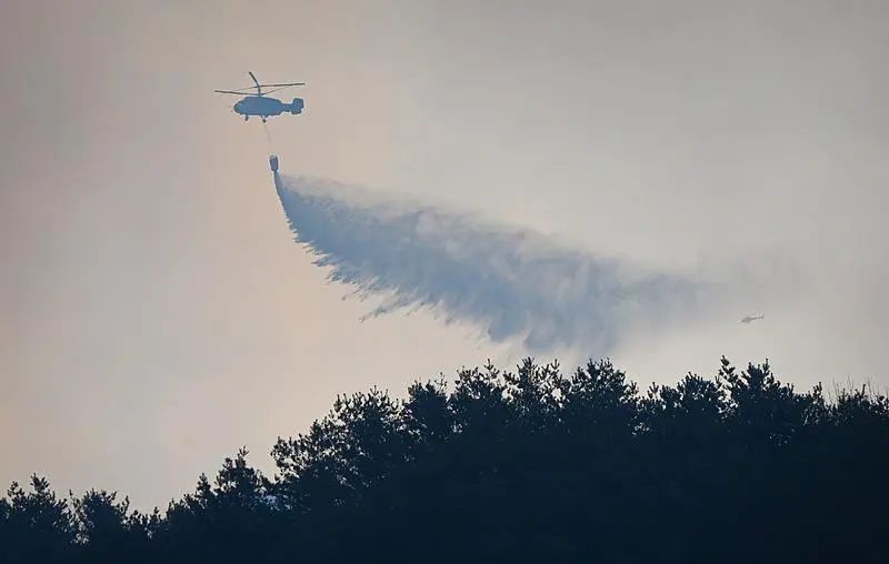 韩国宣布多地进入灾难状态