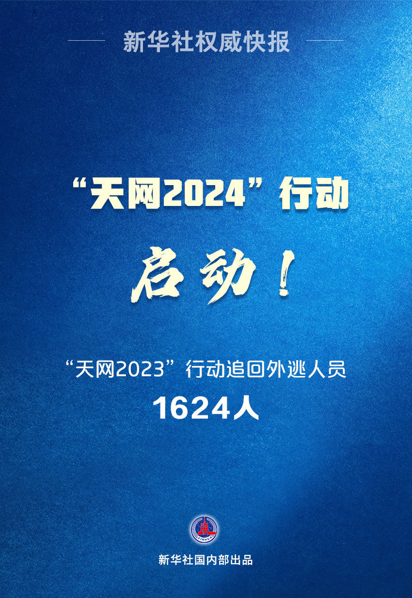 天网2025行动震撼启动，未来网络安全布局揭秘！